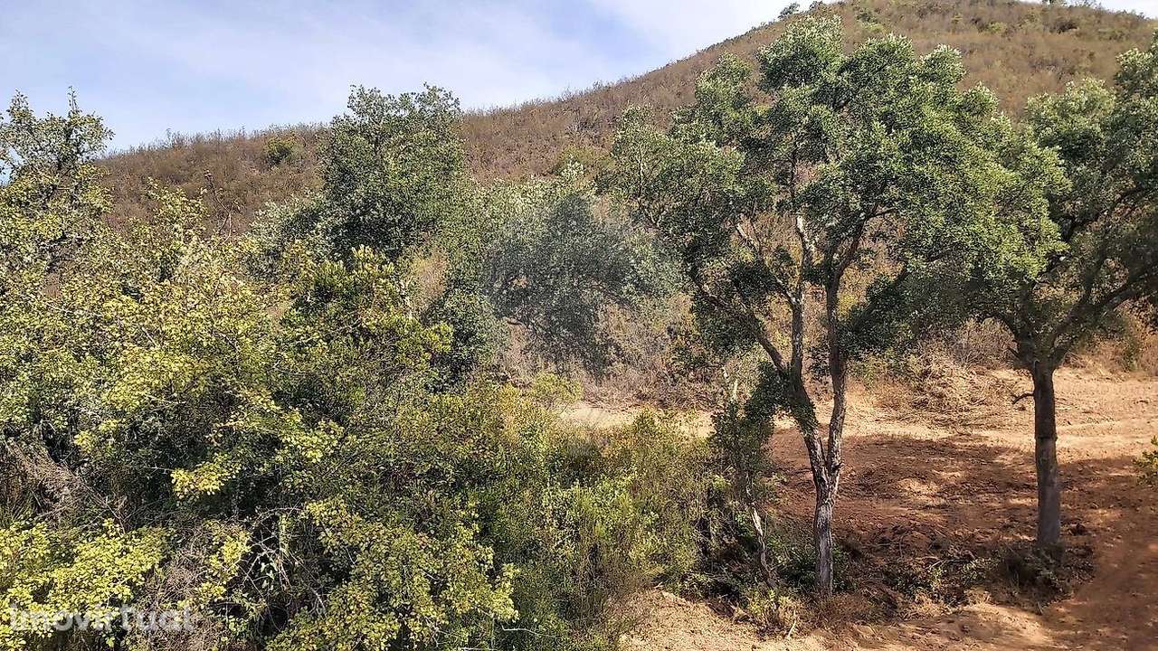 Terreno  para venda - Grande imagem: 5/8