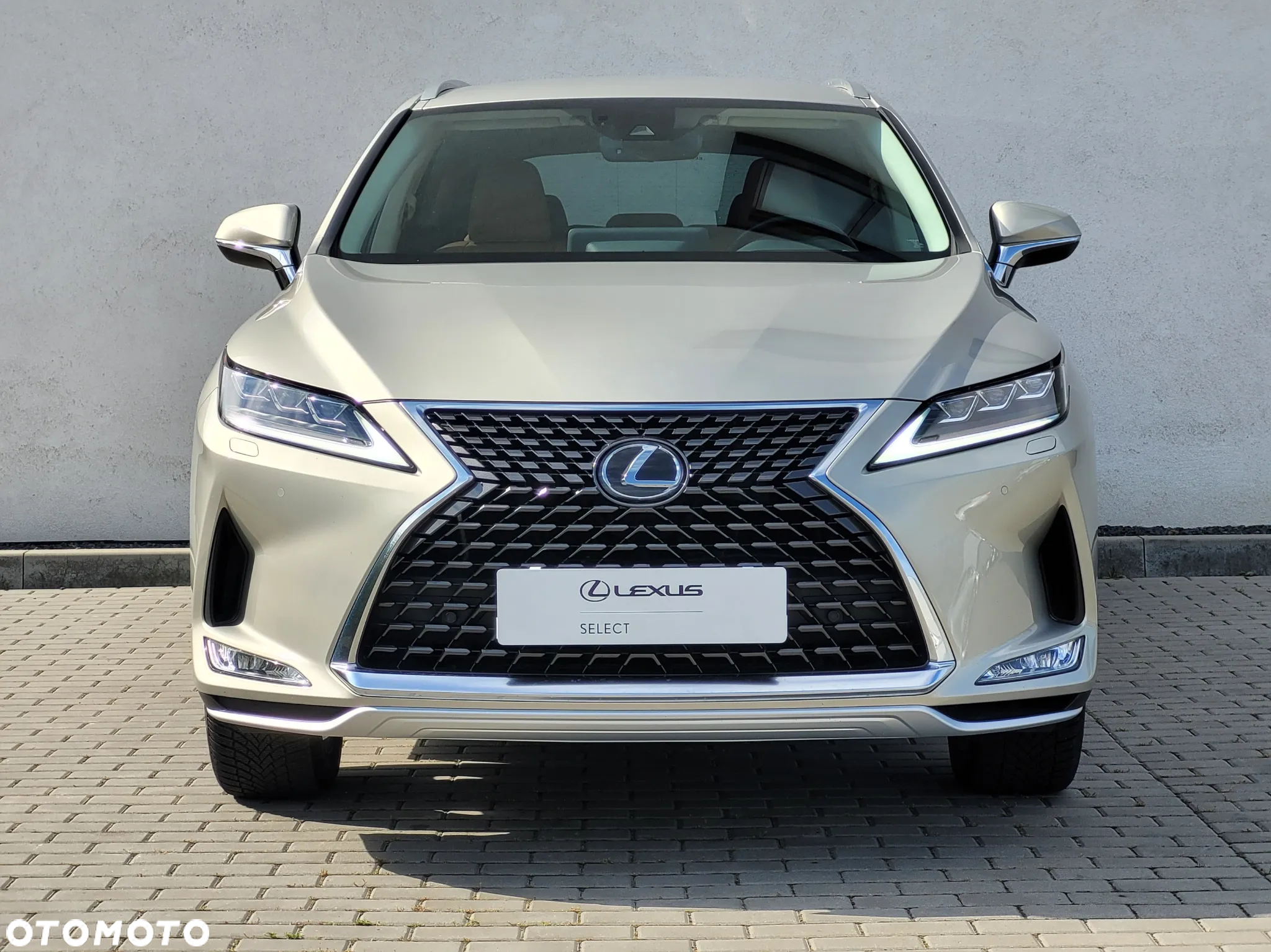 Lexus RX 300 Business Edition + - 7