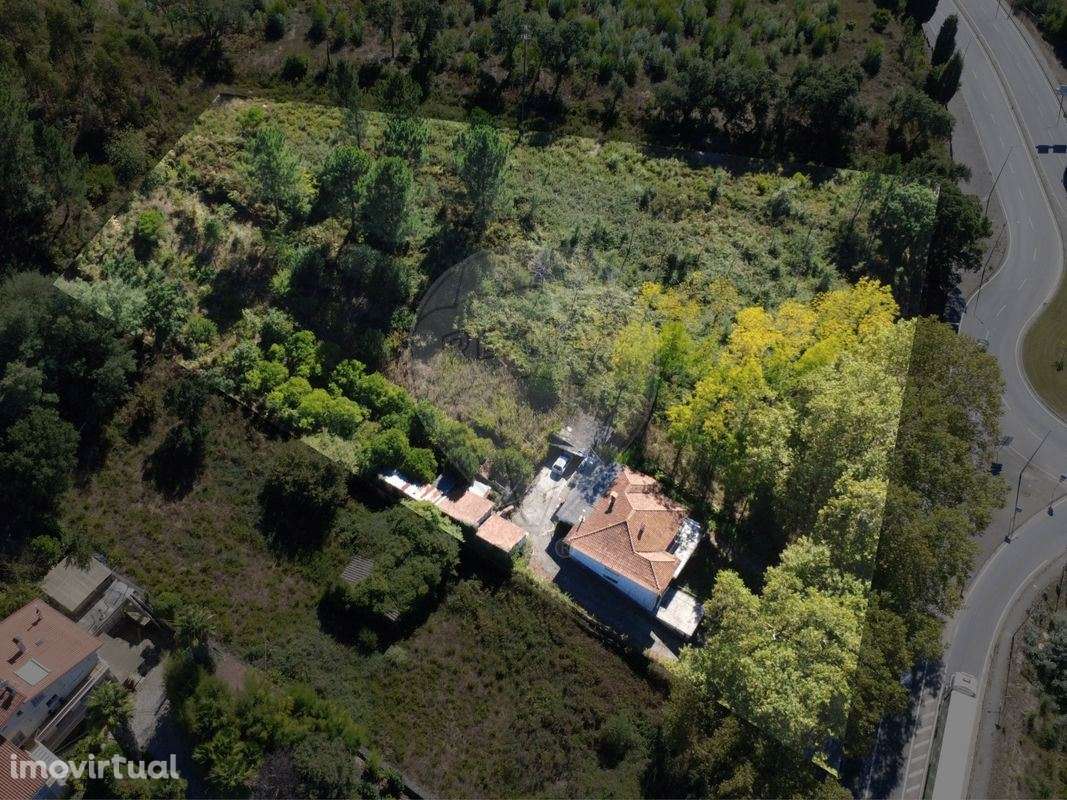 Moradia T5 com Amplo Terreno  Curia - Grande imagem: 4/20