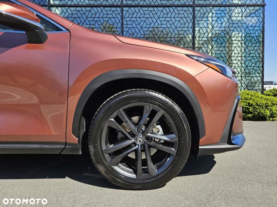 Lexus NX - 18