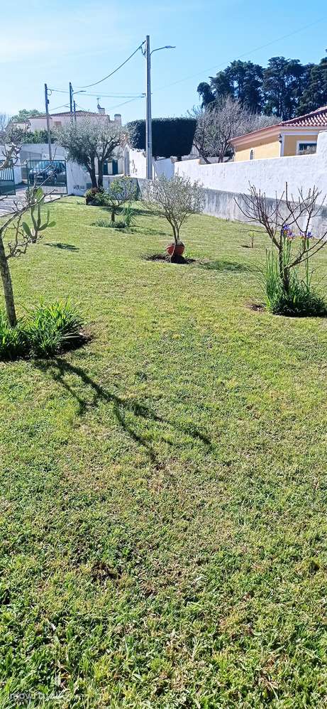 Moradia T3 isolada com jardim e garagem - Grande imagem: 5/18