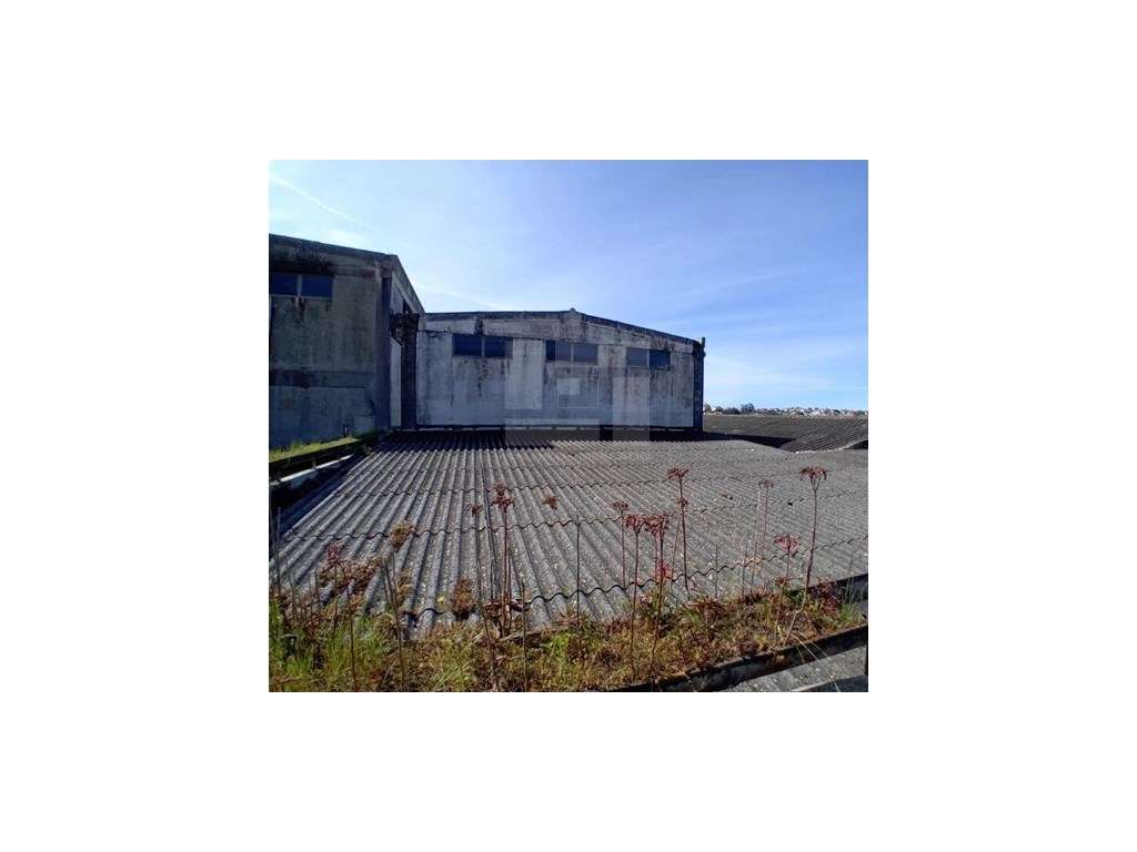 ARMAZÉM EM MELEÇAS - QUELUZ - Grande imagem: 3/11