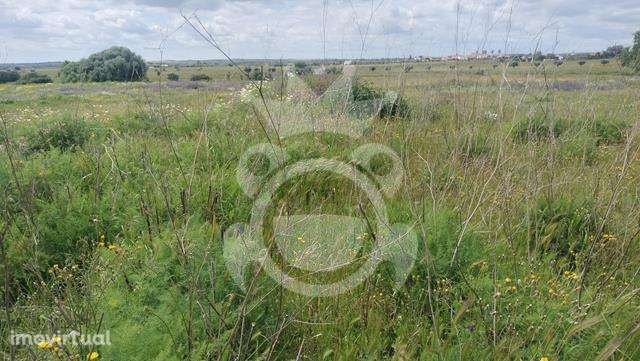 Terreno na zona industrial com 13963m2 - Grande imagem: 2/11