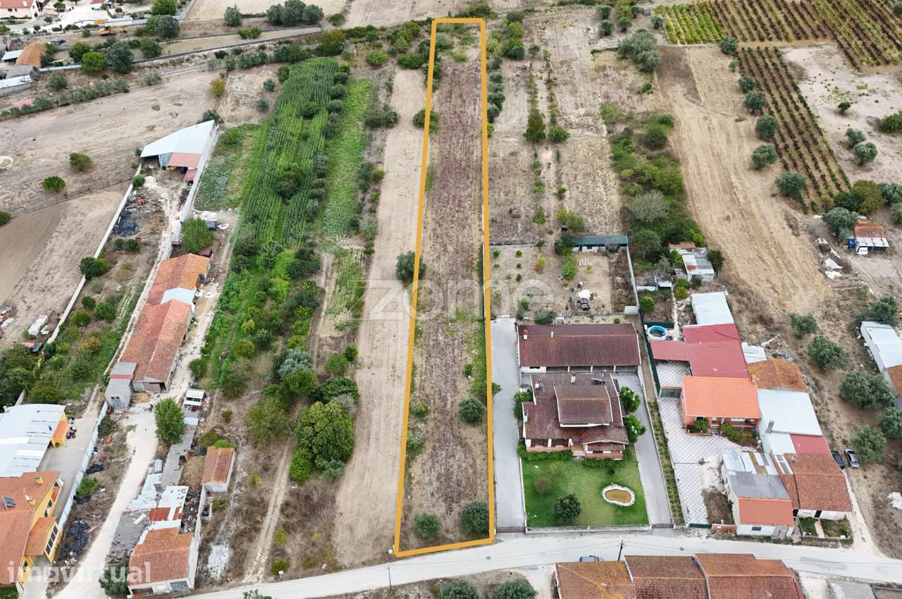 Terreno Cadima - Grande imagem: 4/15