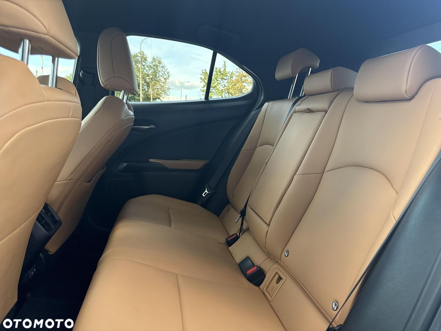 Lexus UX 250h GPF F Sport Design 2WD - 20