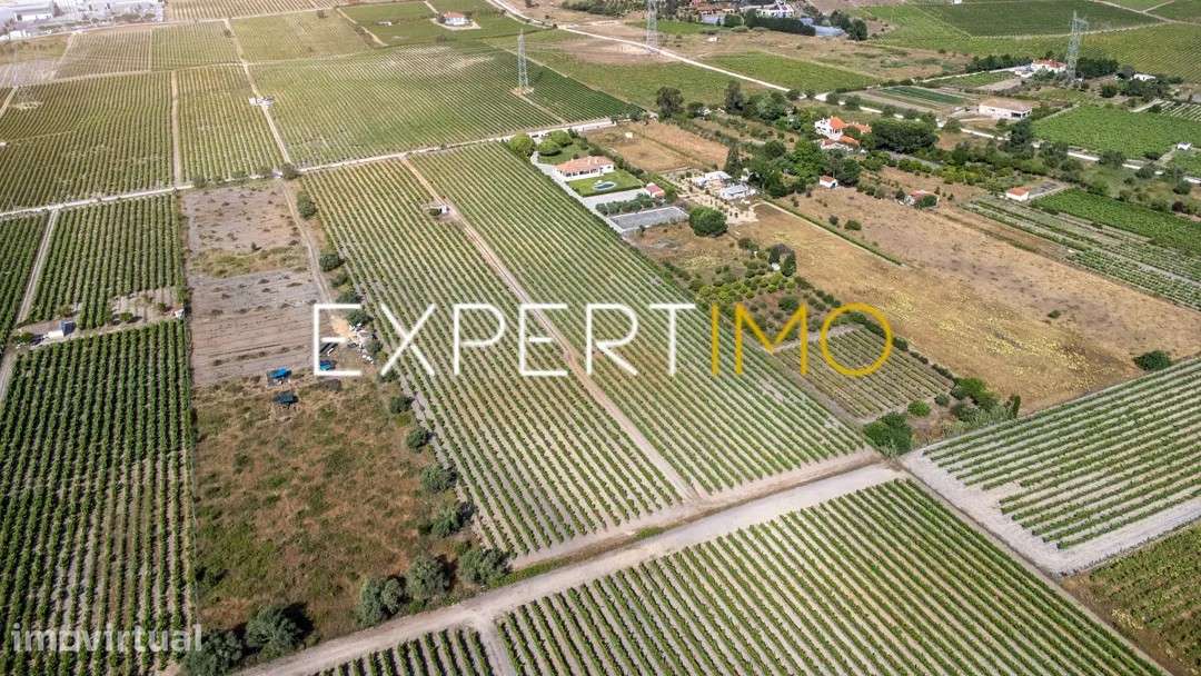 Terreno Rústico de 28.500 m² com vinha e potencial de construção - Grande imagem: 4/8