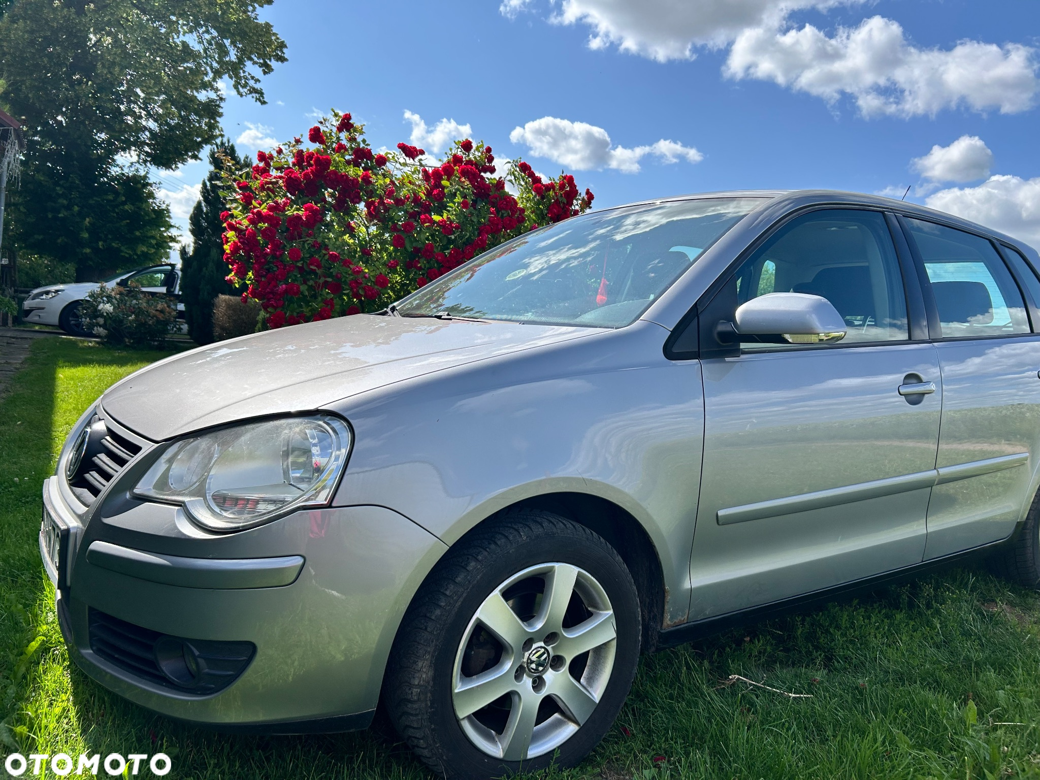 Volkswagen Polo - 2