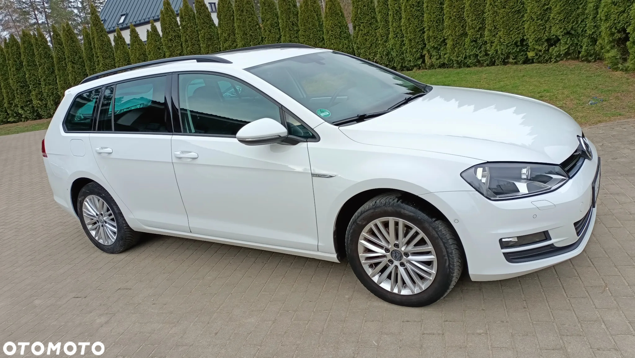 Volkswagen Golf 1.6 BlueTDI Cup - 12