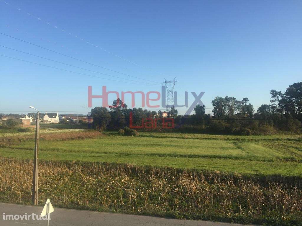 Terreno para construção em Estarreja- Póvoa - Grande imagem: 2/2