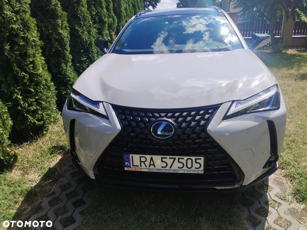 Lexus UX 250h Elegance 2WD - 2