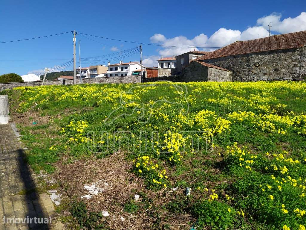 Lote Areosa, Viana do Castelo - Grande imagem: 3/10
