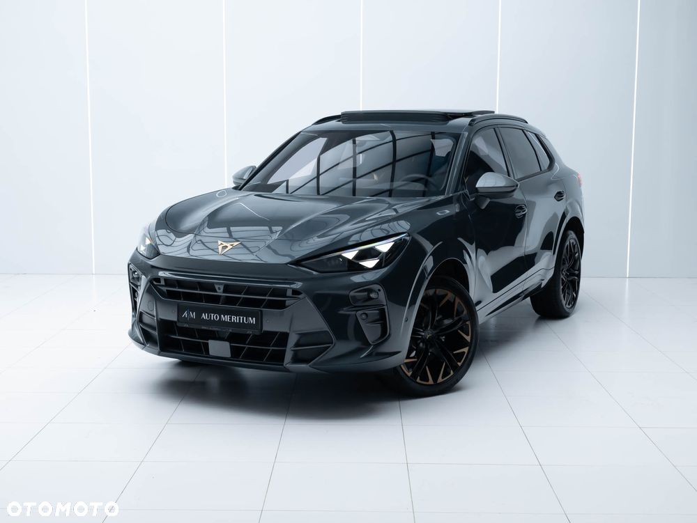 Cupra Terramar 2.0 TSI 4Drive DSG VZ - 5