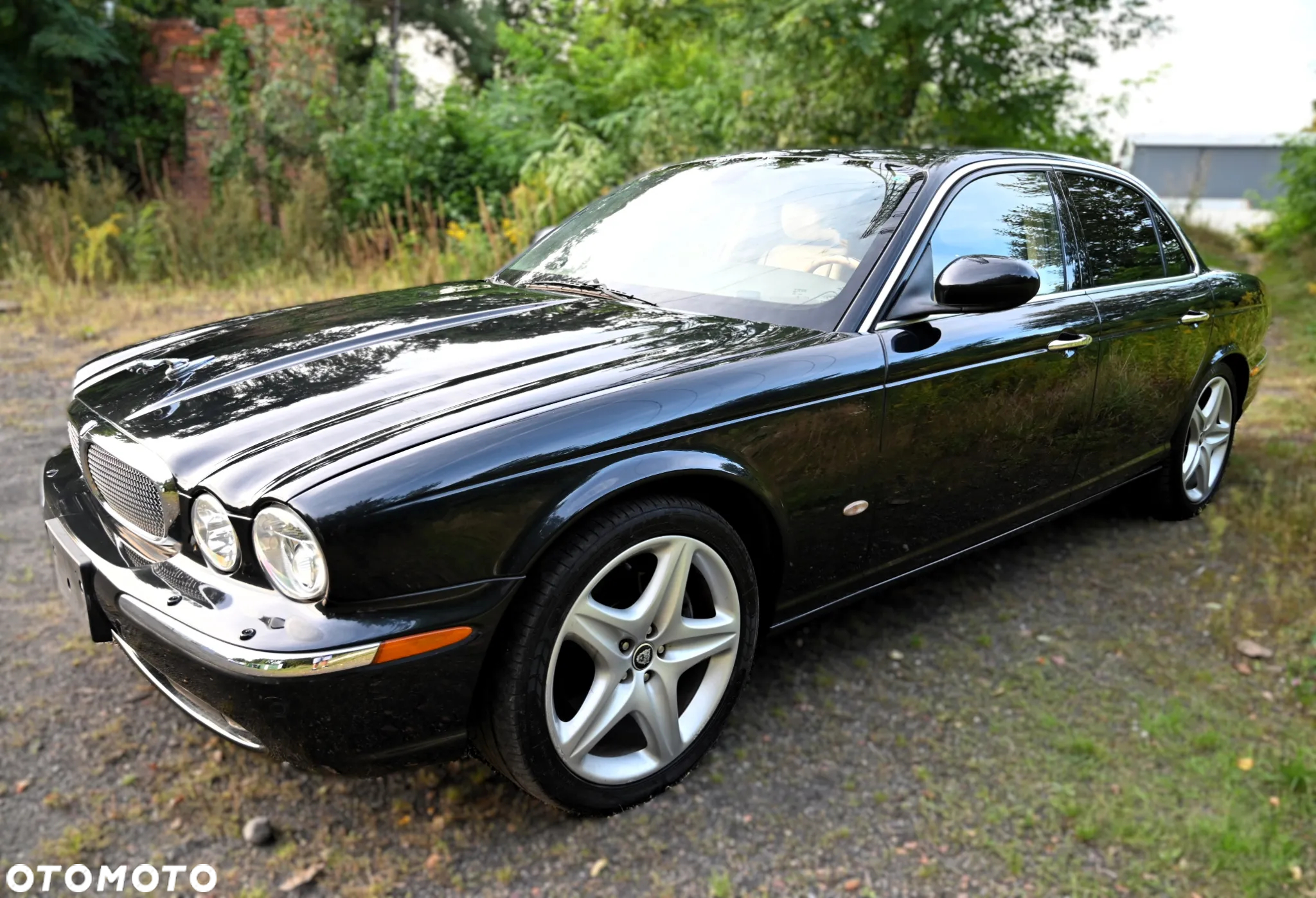 Jaguar XJ XJ8 4.2 Executive - 13