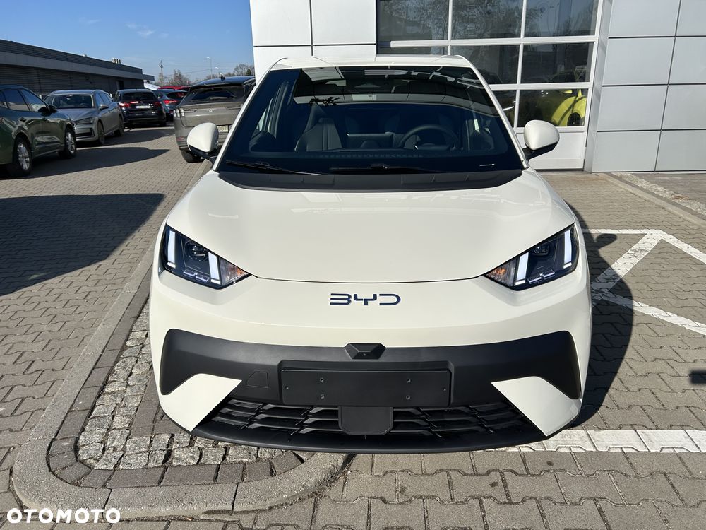 BYD Dolphin Surf - 5