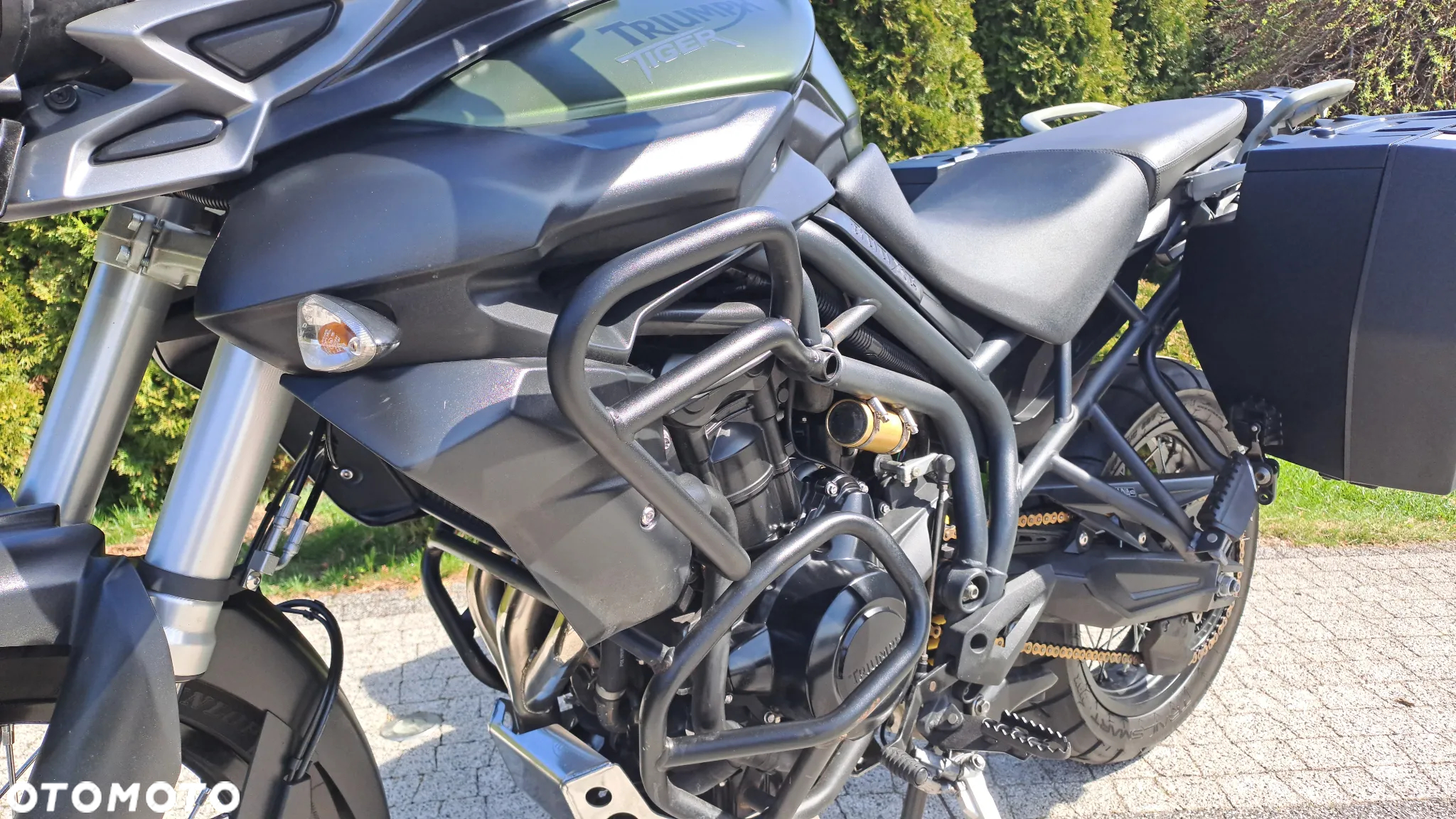 Triumph Tiger - 27