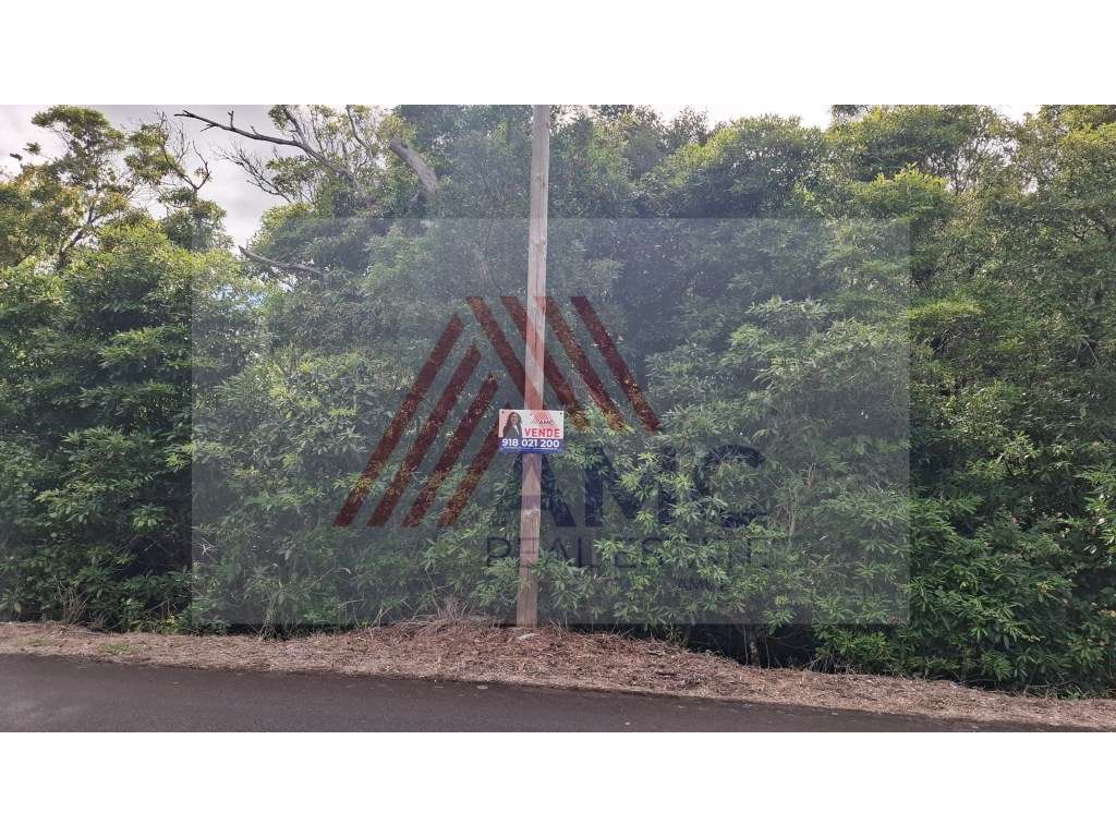 VENDE-SE TERRENO COM VIABILIDADE CONSTRUÇÃO NAS BANDEIRAS - Grande imagem: 3/8