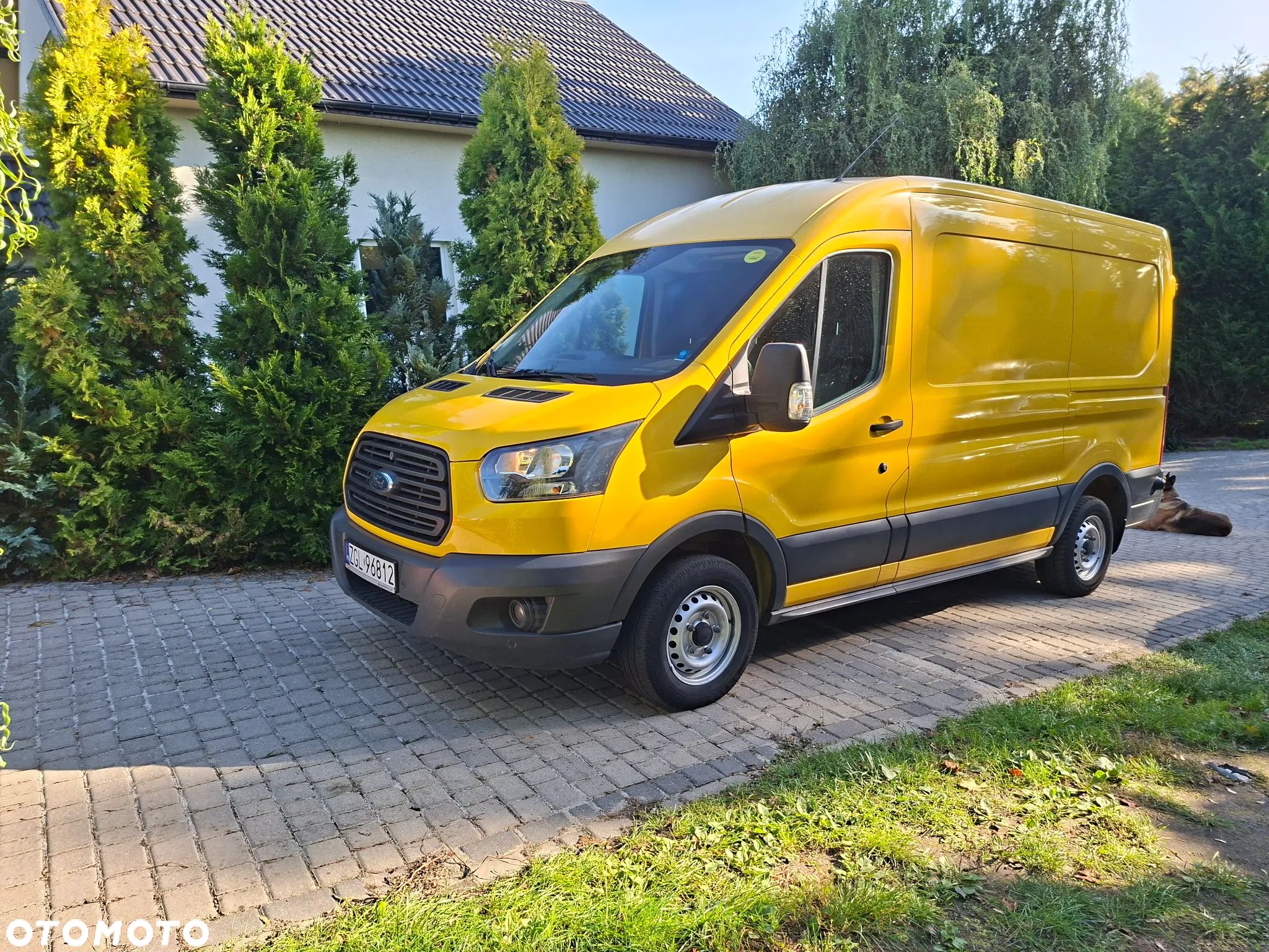 Ford Transit - 1