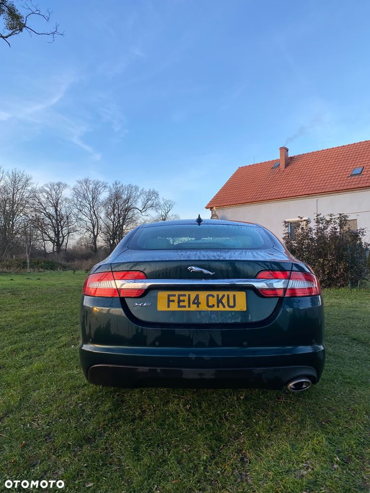 Jaguar XF 2.2 D Luxury - 5