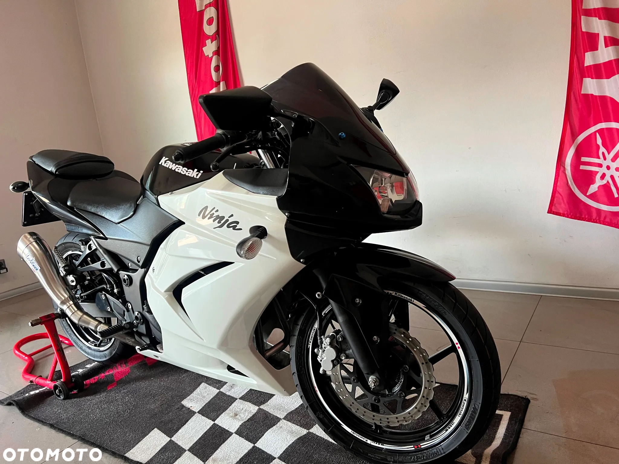 Kawasaki Ninja 250R - 5