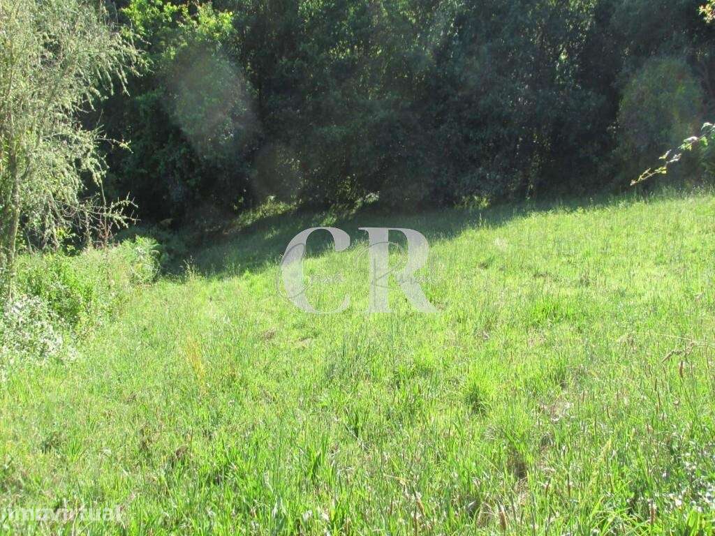 Ruina com Terreno em Vila Nova de Poiares na Central de Portugal - Grande imagem: 3/15