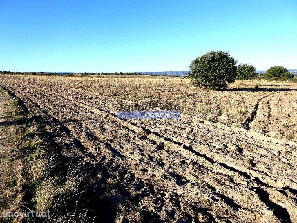 Propriedade plana, 17ha para plantações agrícolas. Portugal, Guarda... - Grande imagem: 2/5