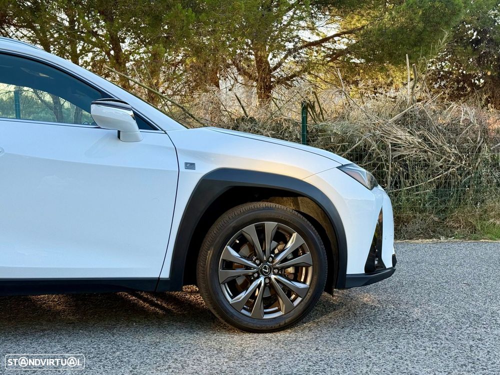 Lexus UX 250h F Sport - 24