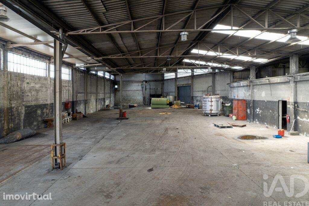 Armazém em Nogueira do Cravo e Pindelo de 1606,00 m2 - Grande imagem: 3/14