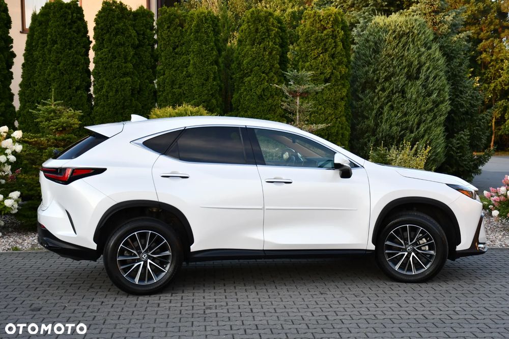 Lexus NX - 15