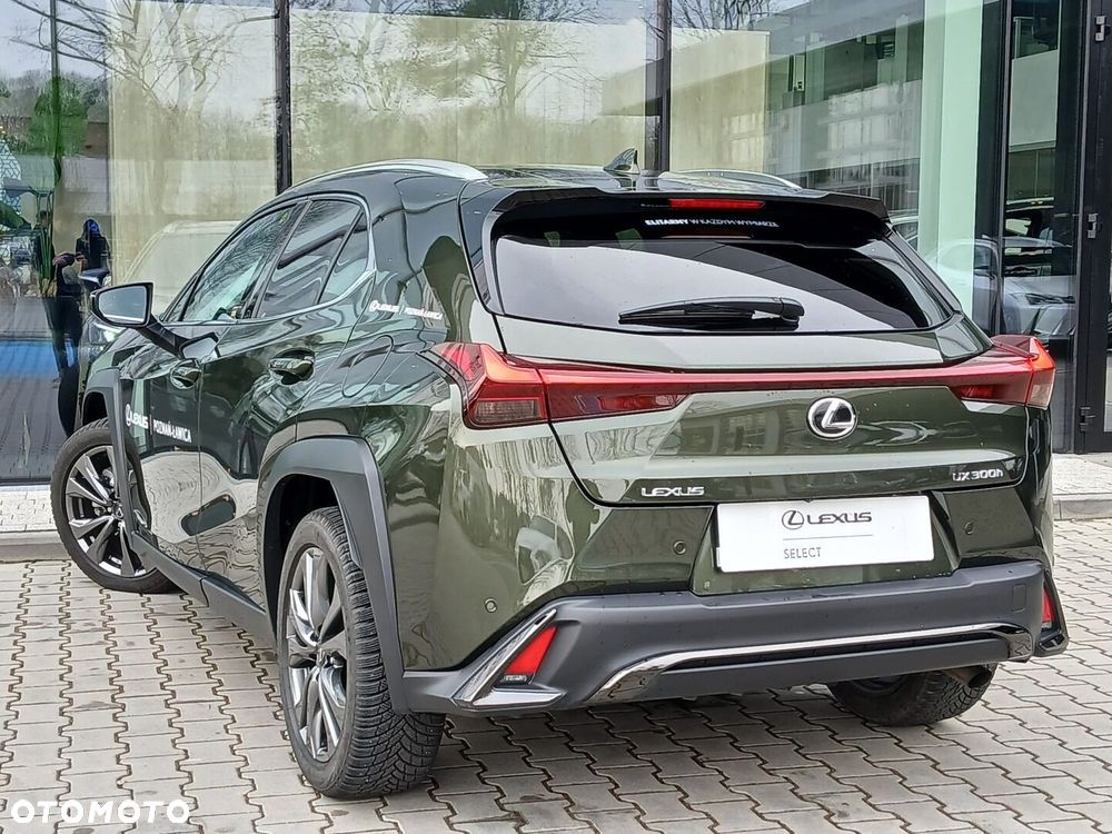 Lexus UX 300h F Sport Design - 11