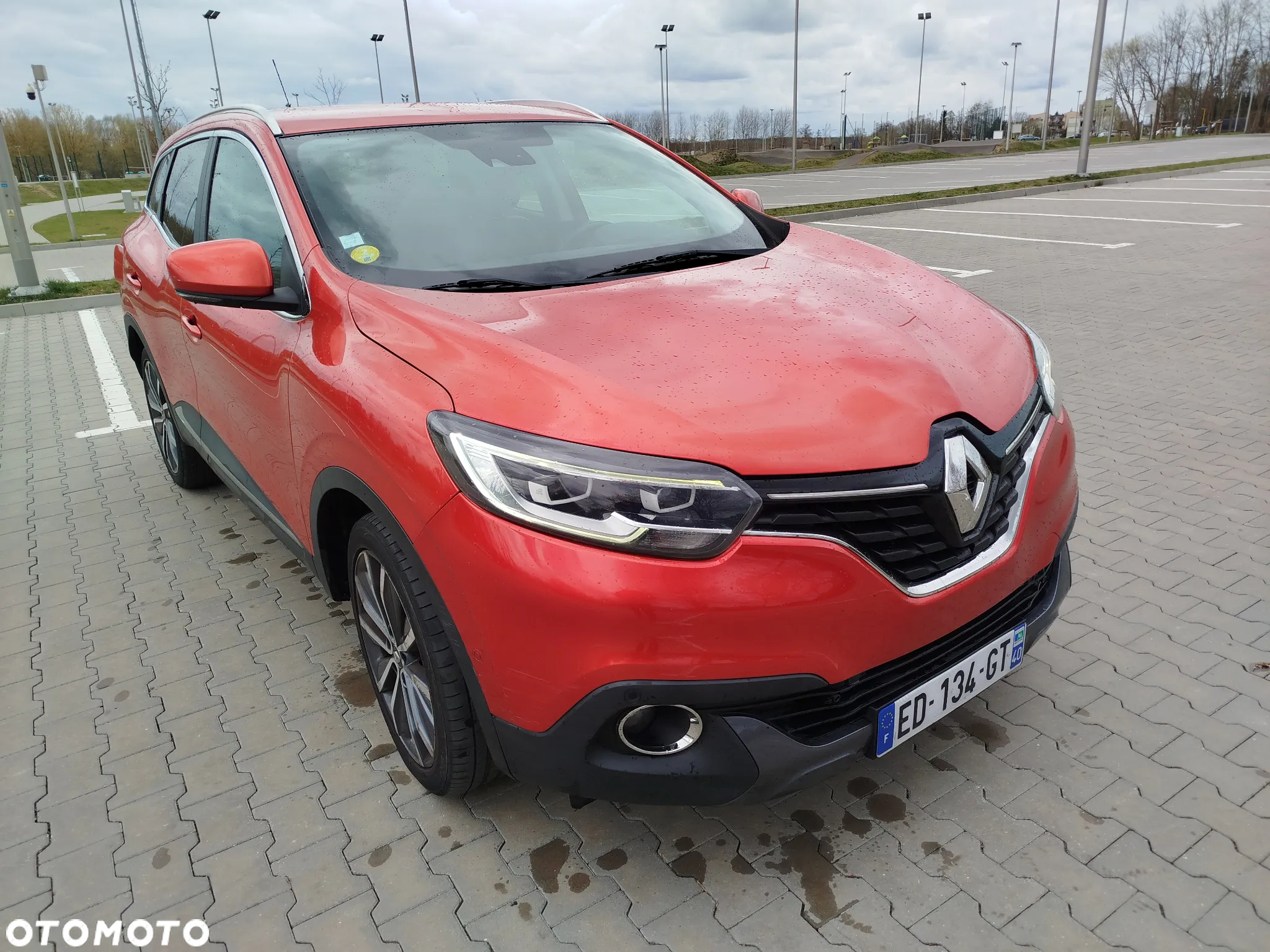 Renault Kadjar 1.6 dCi Energy Business - 15