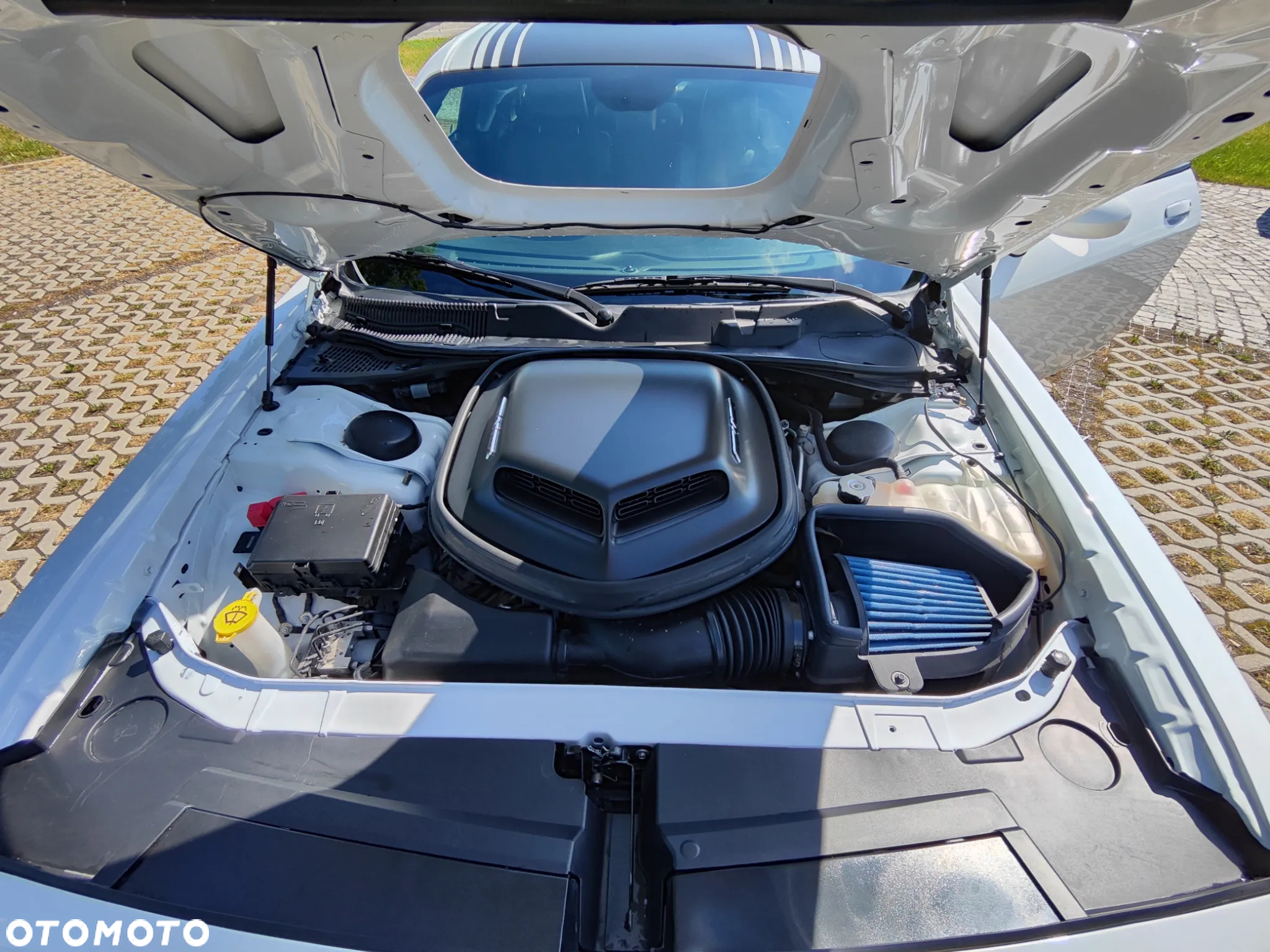Dodge Challenger Automatik R/T Plus Shaker - 7