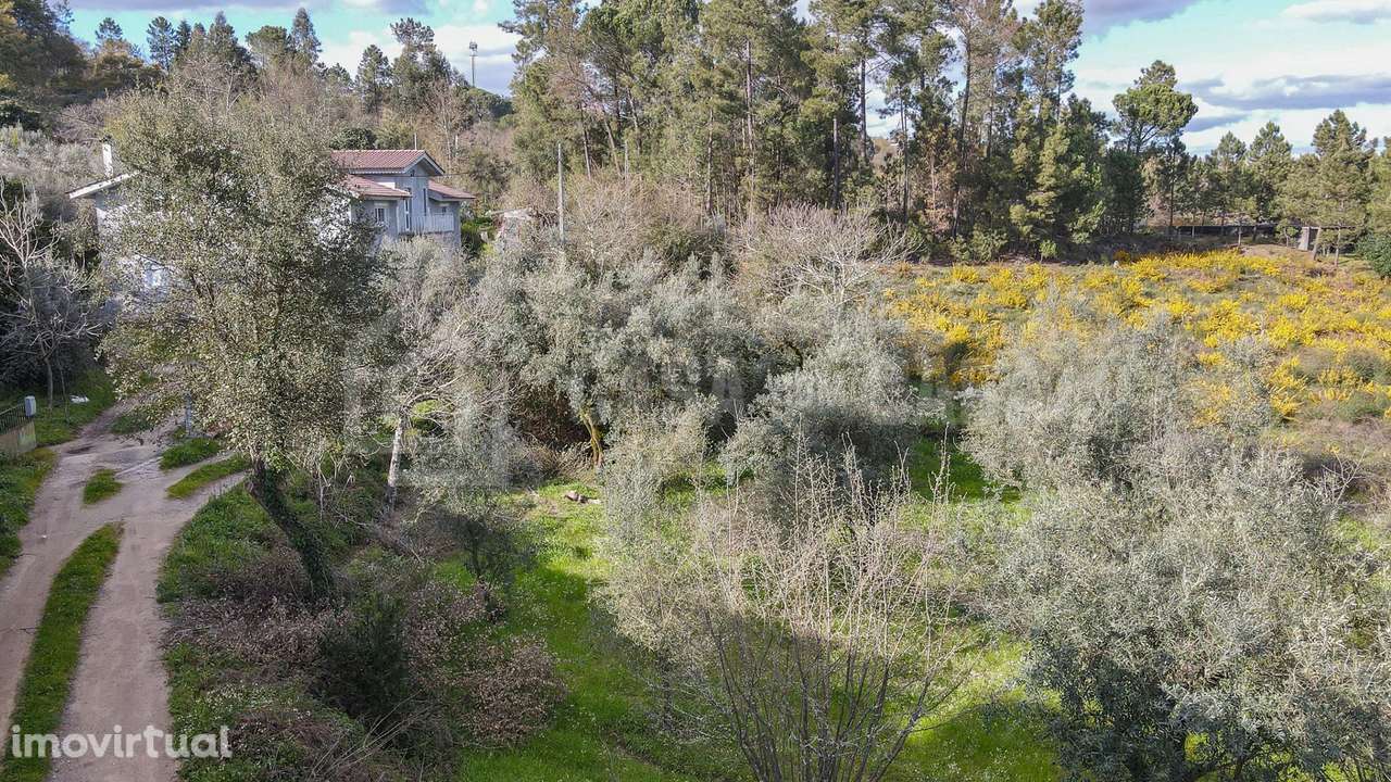 Terreno Construção Fragosela de Cima - Grande imagem: 3/10