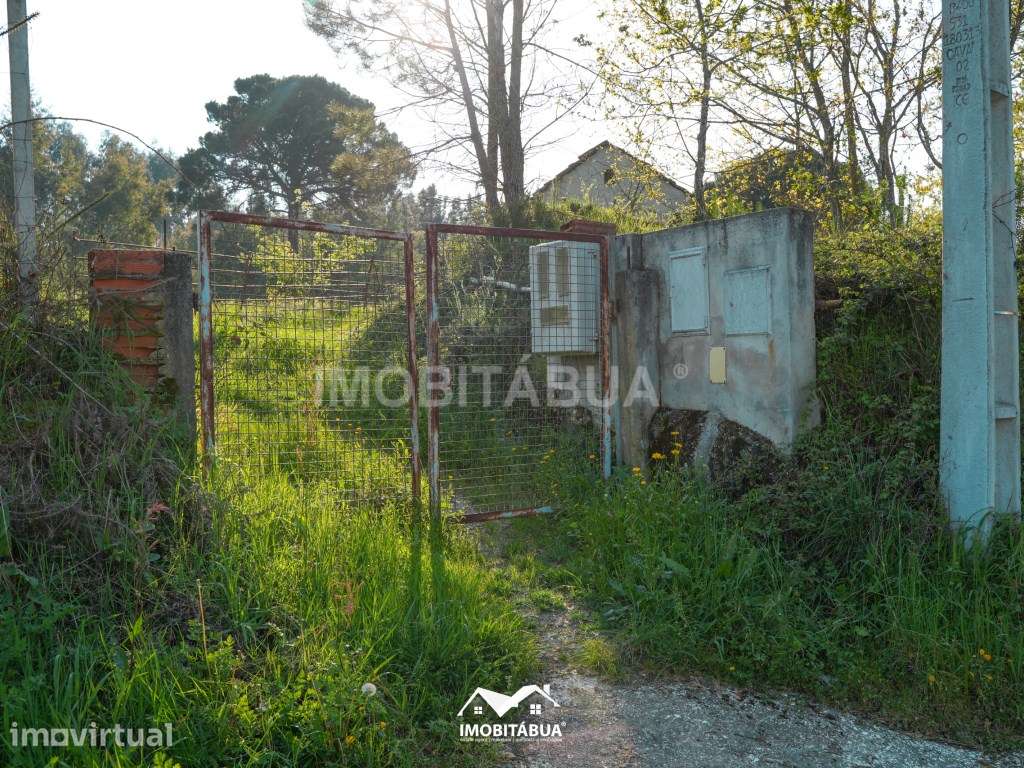 Terreno agrícola com barracão em Candosa - Grande imagem: 5/15