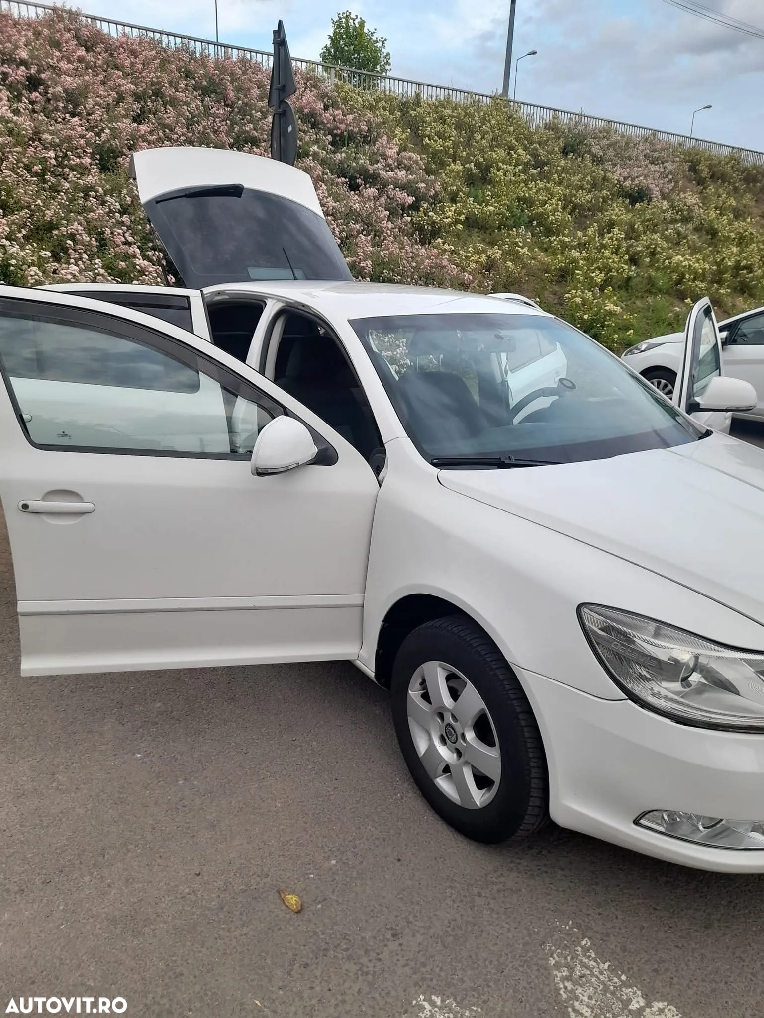 Skoda Octavia 1.6 TDI Drive - 19