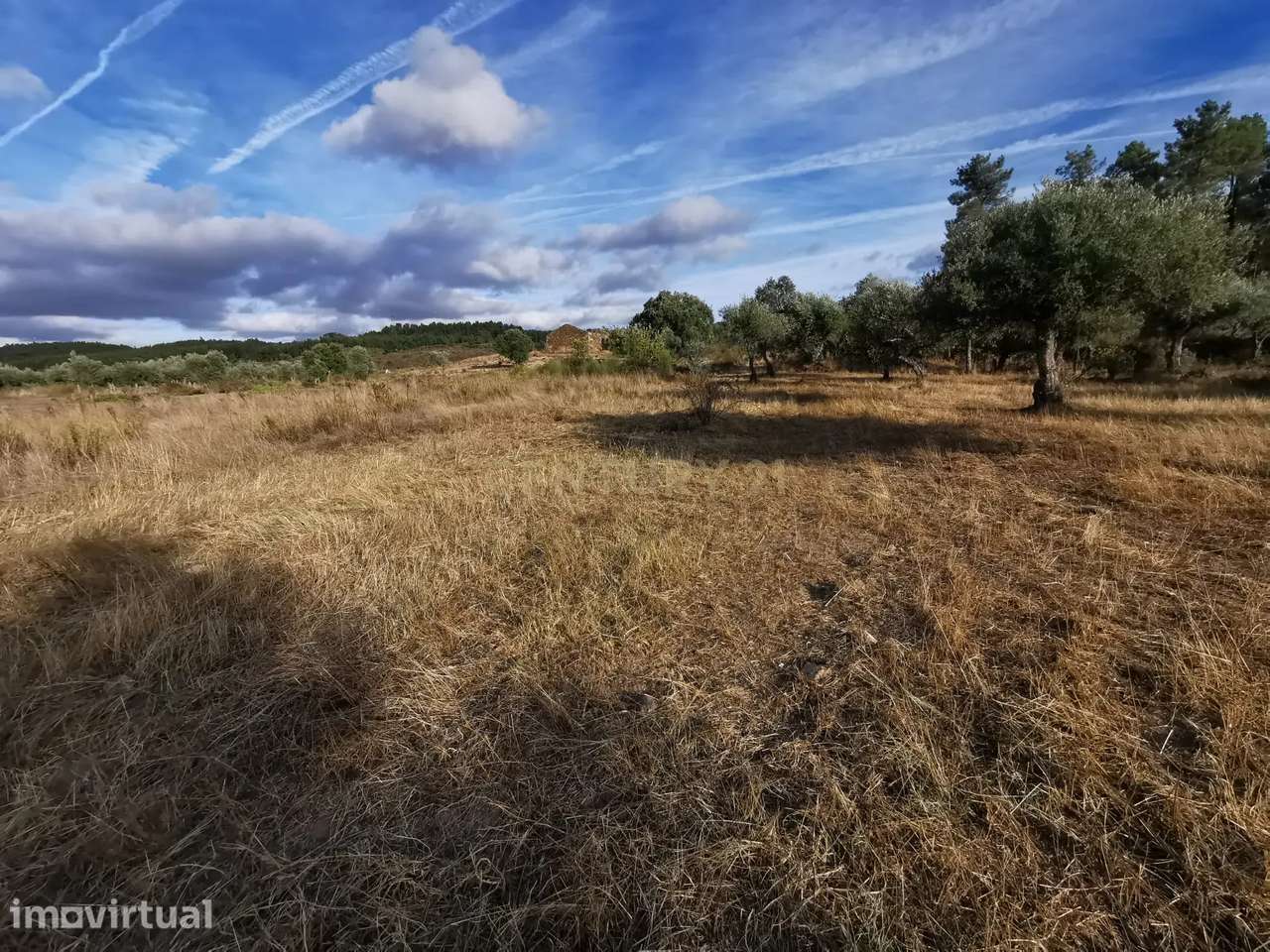 Terreno Rústico em Freixial e Juncal do Campo, Castelo Branco - Grande imagem: 3/8