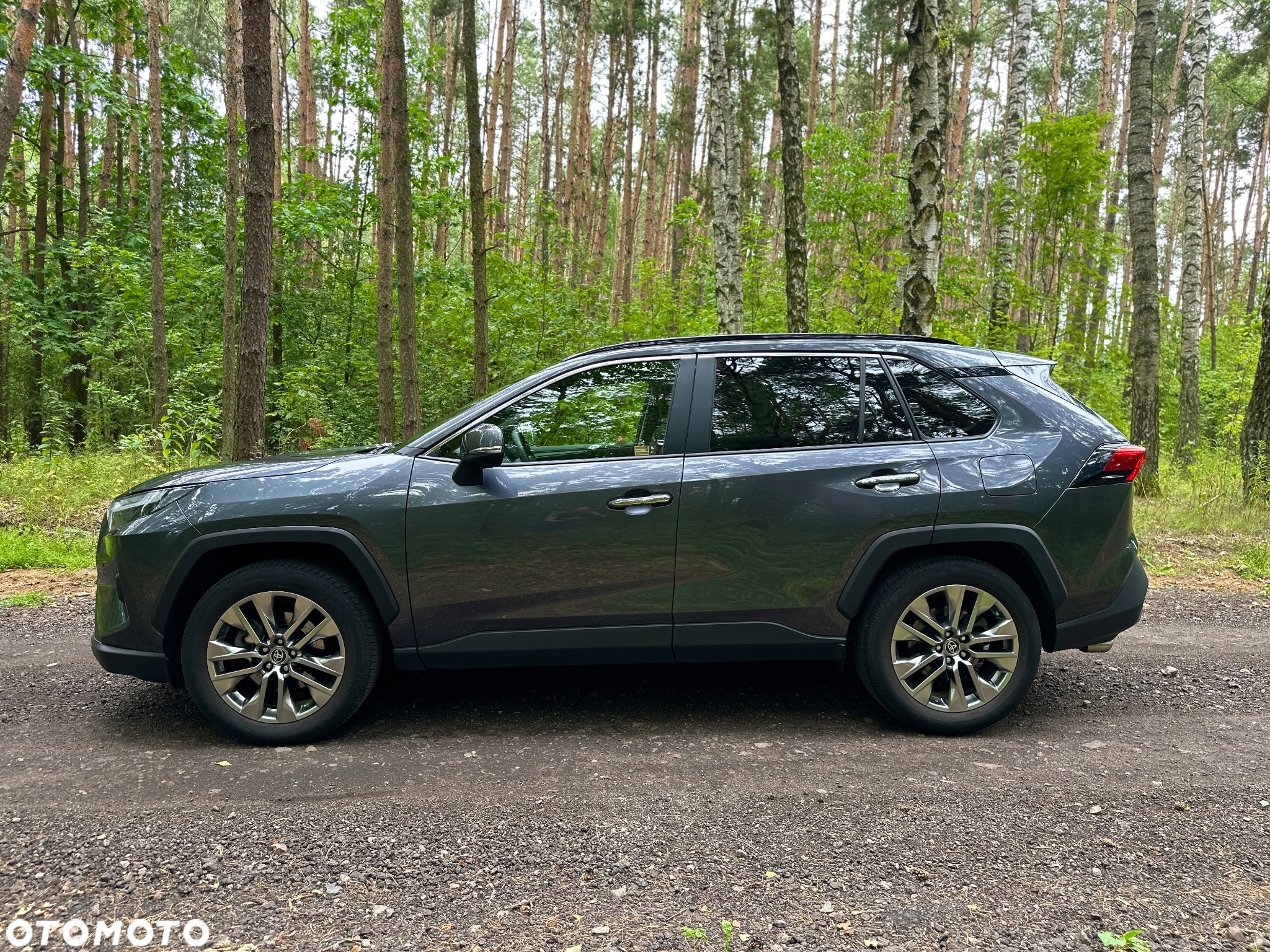 Toyota RAV4 2.5 Hybrid Executive 4x2 - 2
