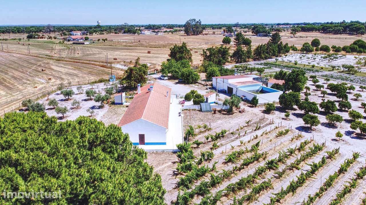 Paraíso no Alentejo - Grande imagem: 4/47