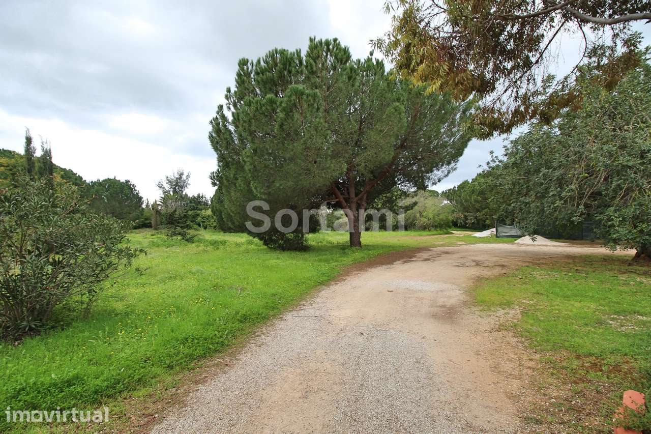 Terreno Para Construção  Venda em Quarteira,Loulé - Grande imagem: 3/5
