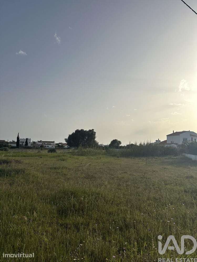 Terreno Agrícola em Guia de 2960,00 m2 - Grande imagem: 3/5