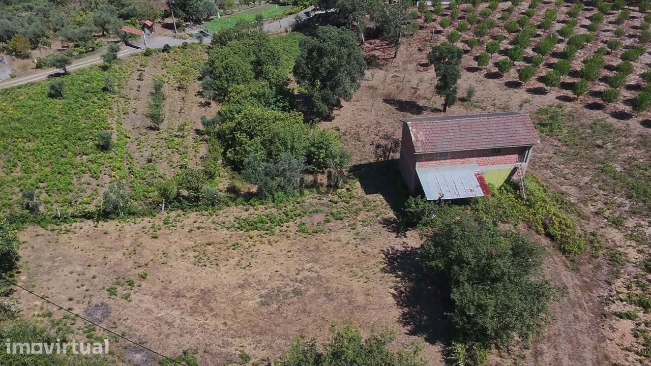 Terreno com 8500m2 em Tourigo, Tondela - Grande imagem: 5/18