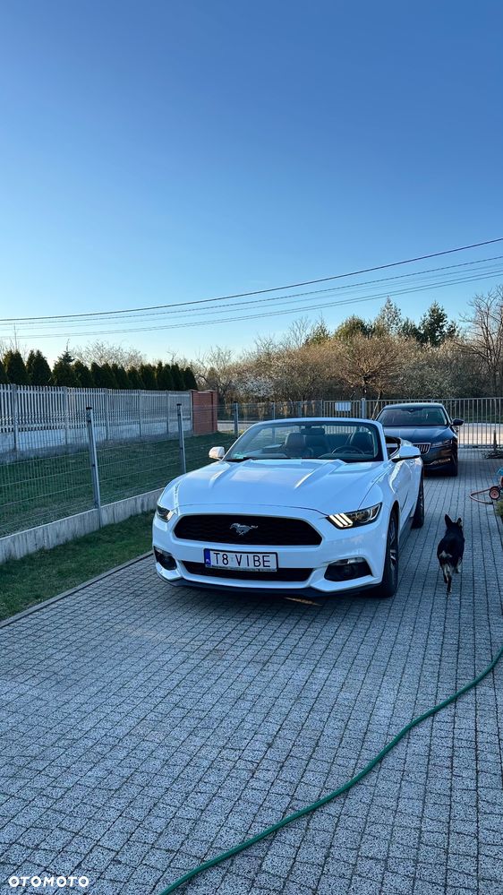 Ford Mustang 2.3 EcoBoost - 10