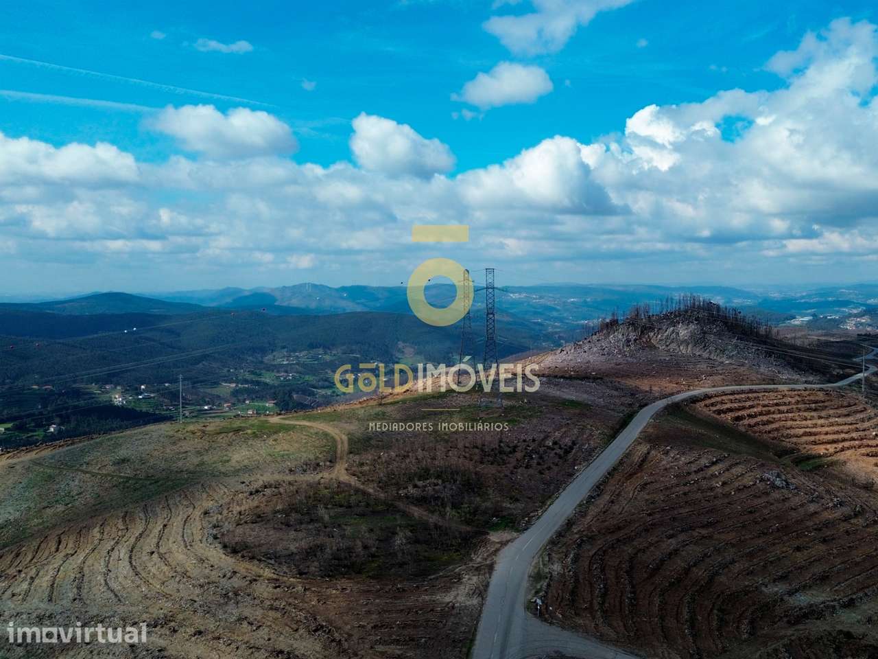 Terreno Florestal em Real - Castelo de Paiva - Grande imagem: 5/6