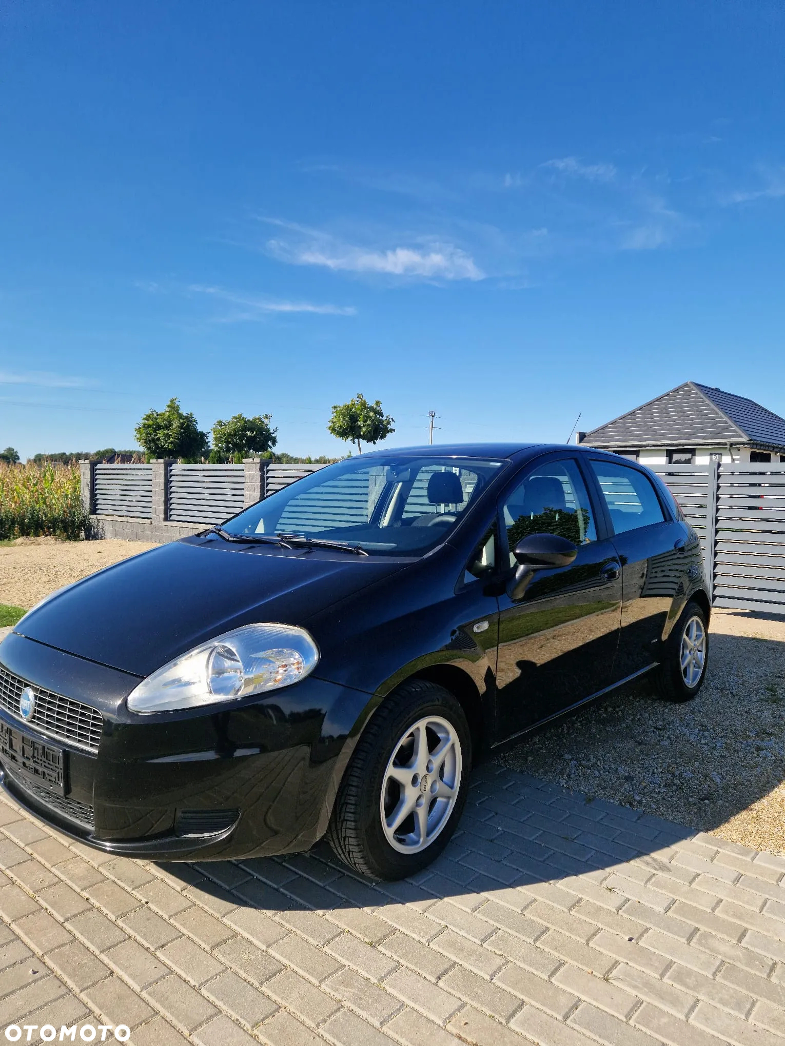 Fiat Punto - 2
