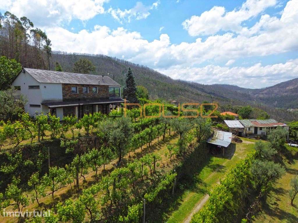 Quinta agrícola - 45 minutos do Porto - Grande imagem: 5/59