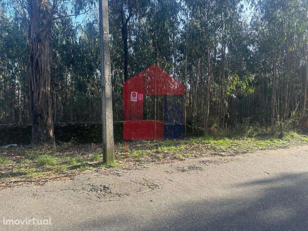 Terreno agrícola de produção, Portela das Cabras - Grande imagem: 5/19