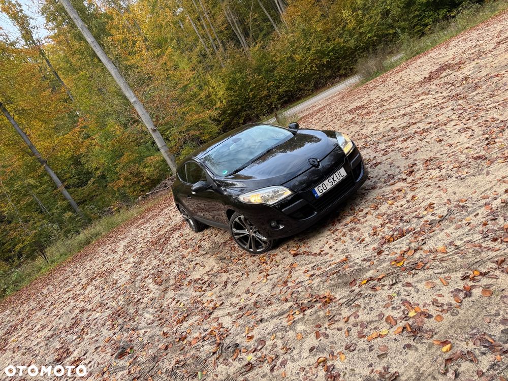 Renault Megane 2.0 16V TCE Dynamique - 1