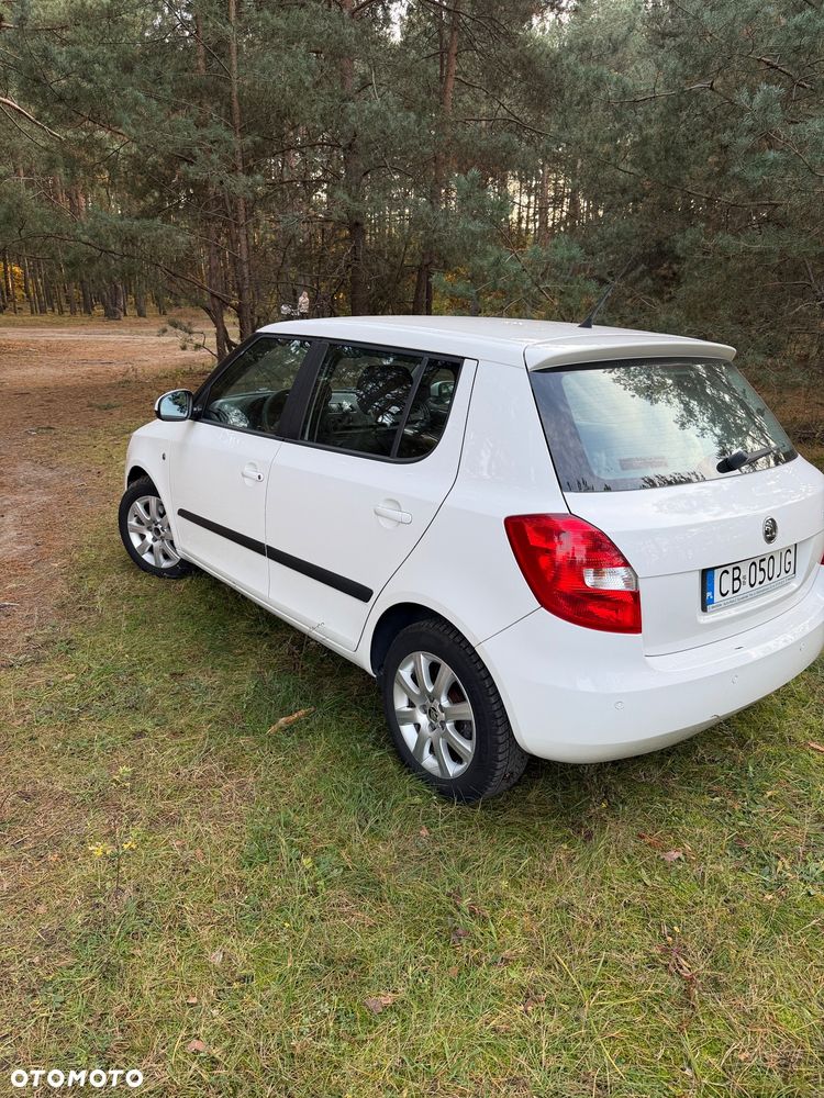 Skoda Fabia 2010 photo 2