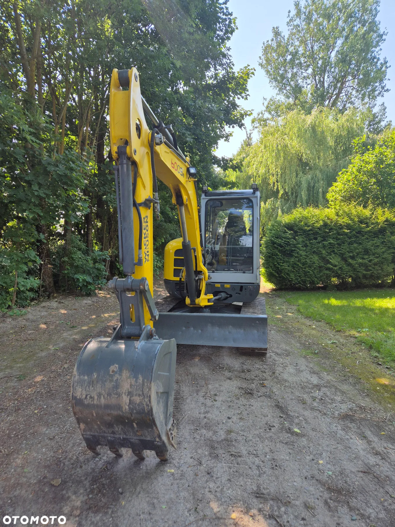 Wacker Neuson 6003 - 2
