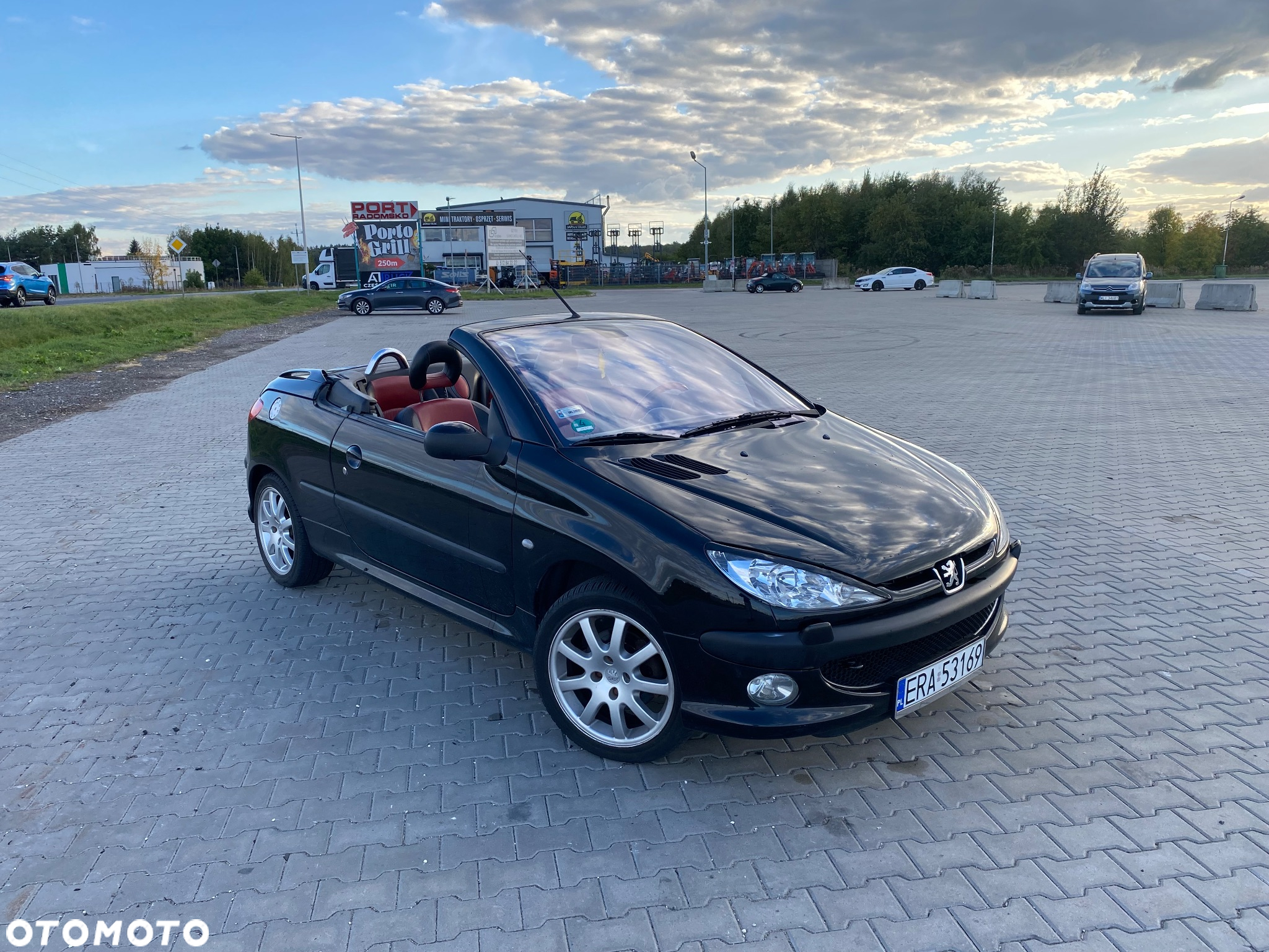Peugeot 206 CC 110 - 6