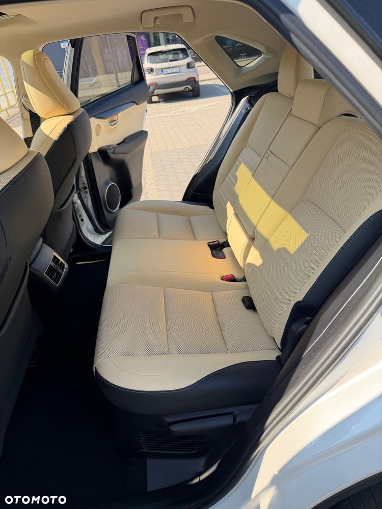 Lexus NX - 17